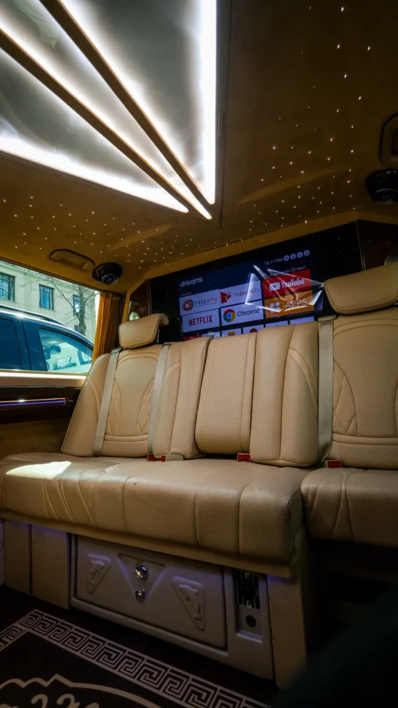 Turkish Airlines meet and greet