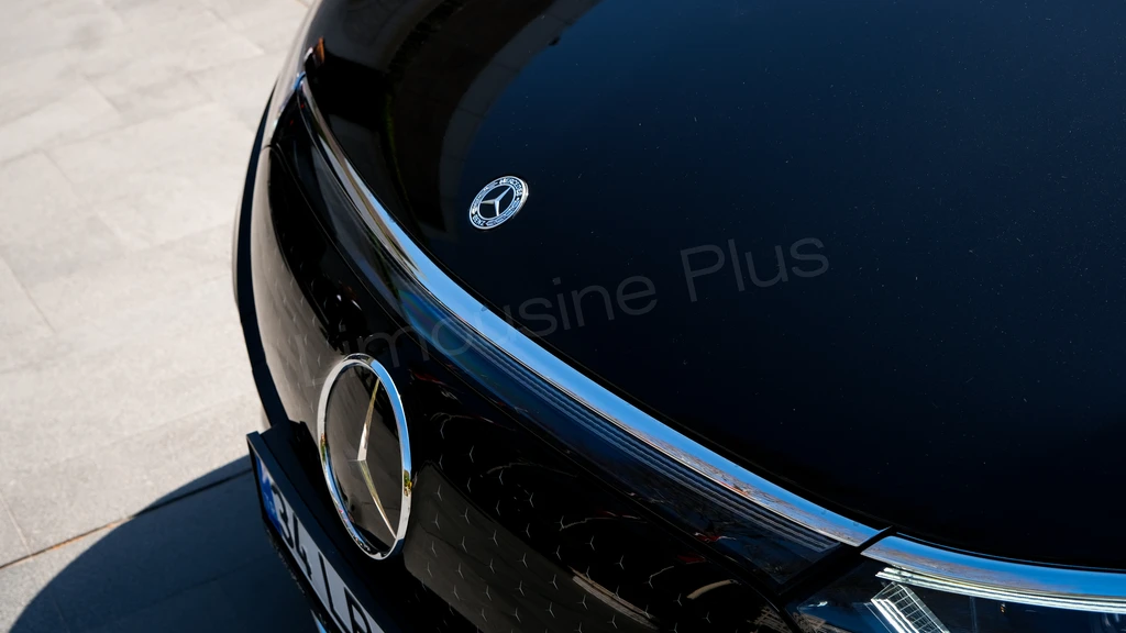 Russian Speaking Greeter Ist